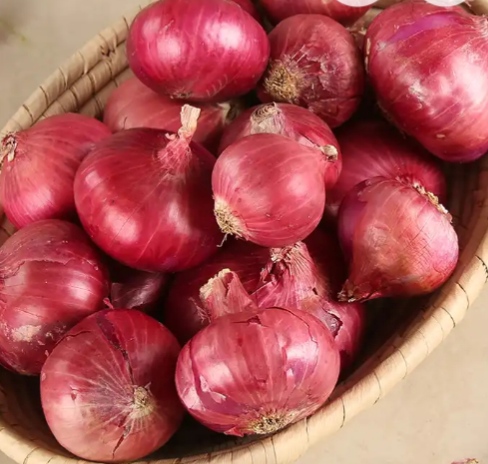 Onion