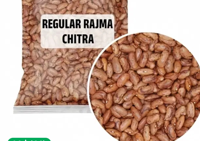 Rajma chitra